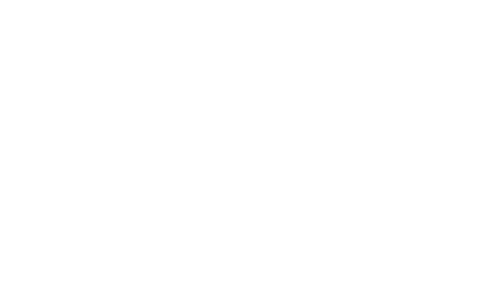 Logo Dafy Groupe